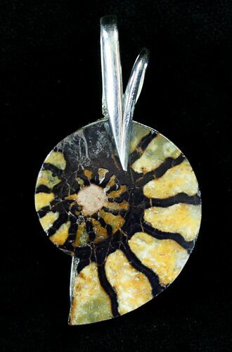 Moroccan Ammonite Fossil Pendant - Sterling Silver #21014